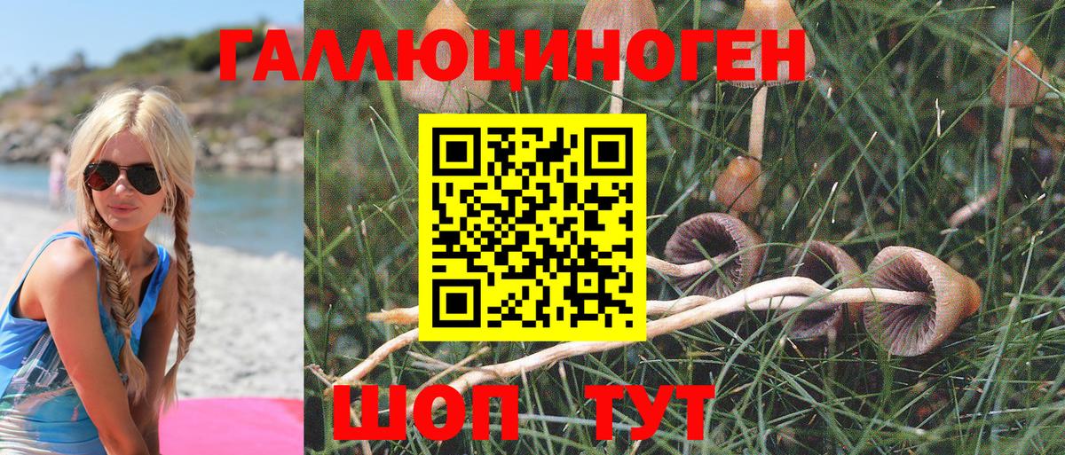 Галлюциногенные грибы MAGIC MUSHROOMS  Вход с VPN  Мелеуз  Псилоцибиновые грибы Psilocybine cubensis 